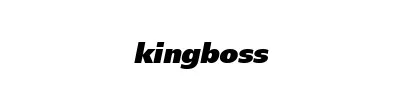 Kingboss AS365 4-Seasons